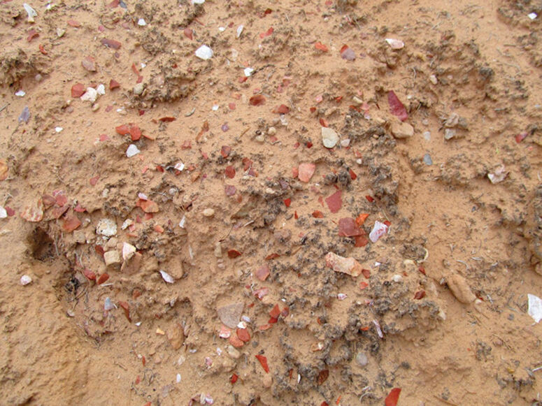 20-08-25 archaeology lithic scatter .jpg